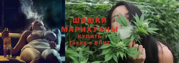 мдма Новодвинск