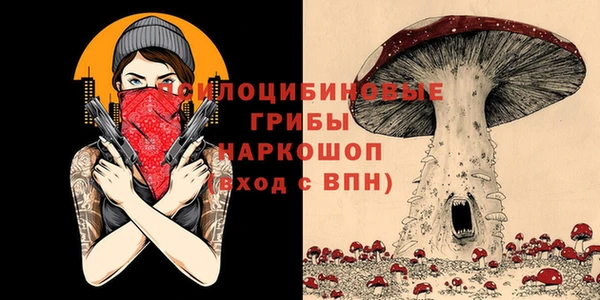 дживик Новокубанск