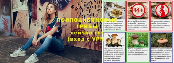 дживик Новокубанск