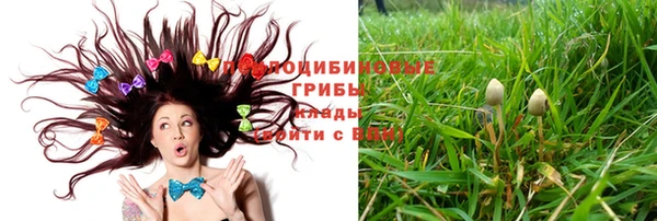 мдма Новодвинск