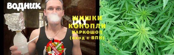 дживик Новокубанск