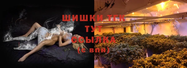 мдма Новодвинск