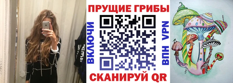 Галлюциногенные грибы прущие грибы  Свободный 
